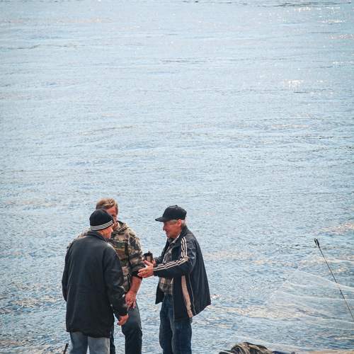 Photo #11008941