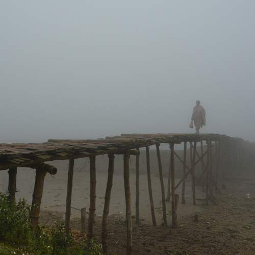 Photo #11009145