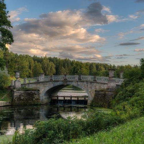 Photo #11009179