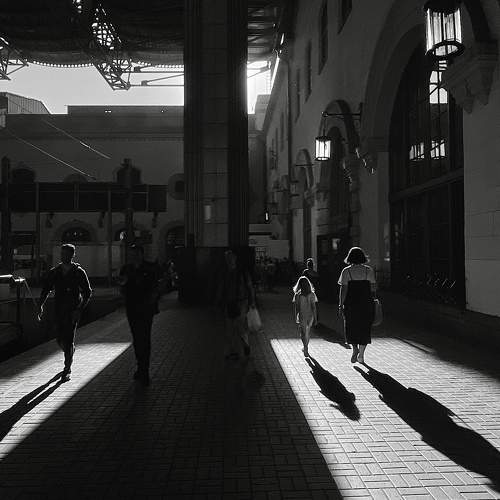 Photo #11009475