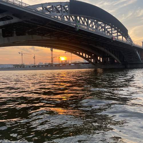 Photo #11009478