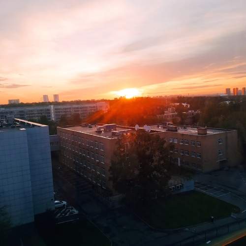 Photo #11009558