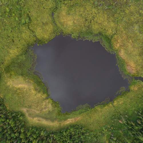 Photo #11009611