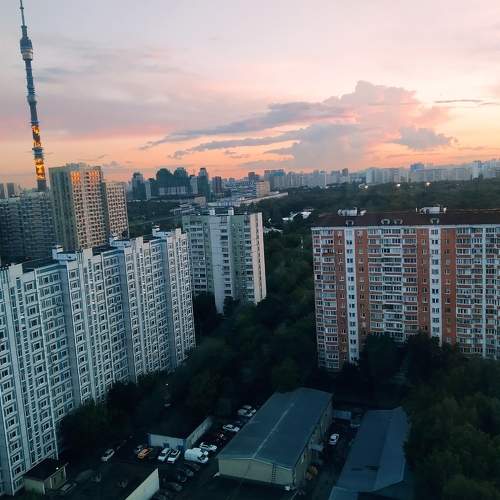 Photo #11009675