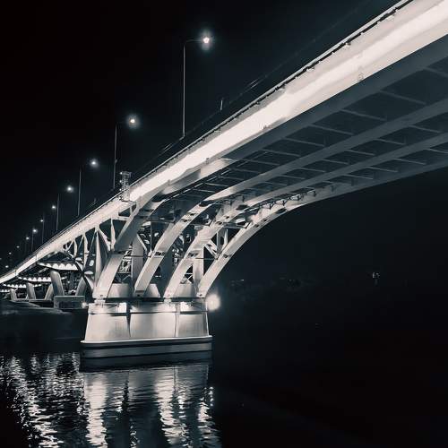 Photo #11009773