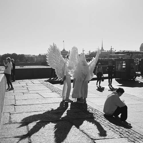 Photo #11009886