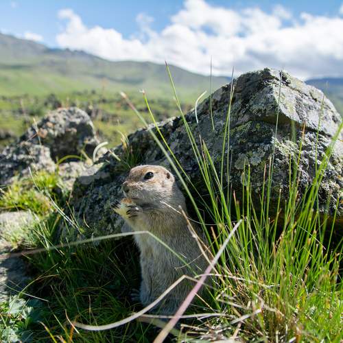 Photo #11009903
