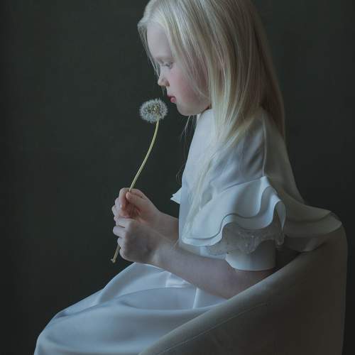 Photo #11010087