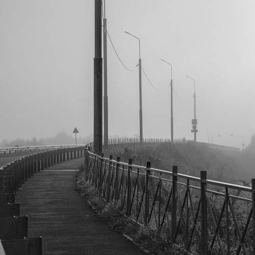 Photo #11010100