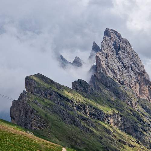 Photo #11010549