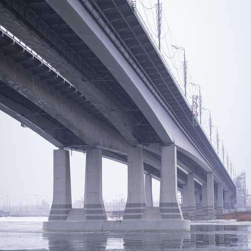 Photo #11010700