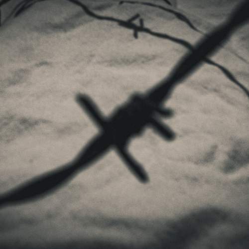 Photo #11010937