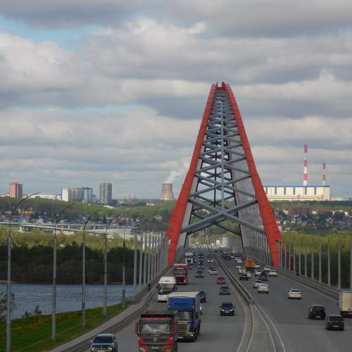 Photo #11010974