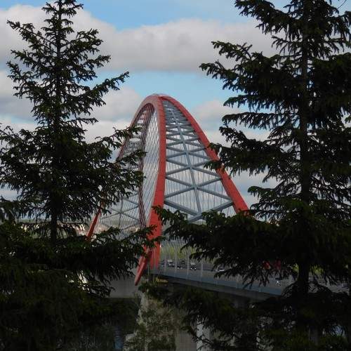 Photo #11010995