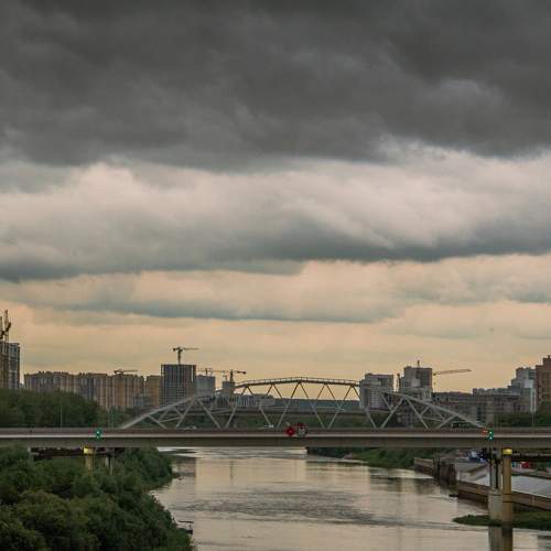 Photo #11011010