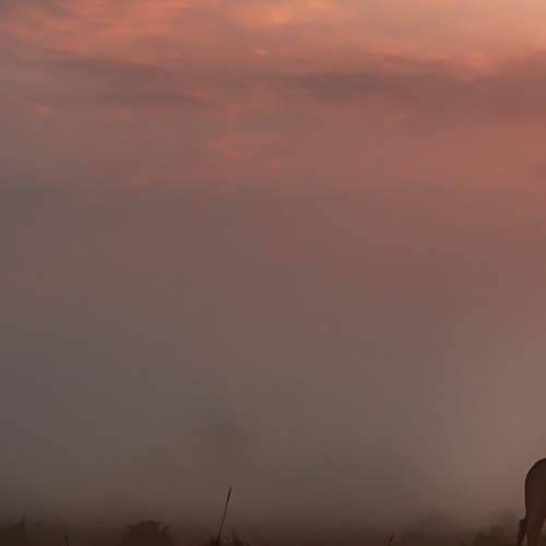 Morning Magic in Masai Mara