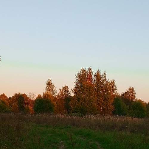 Photo #11011586