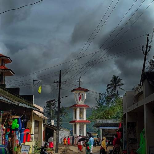Photo #11011673