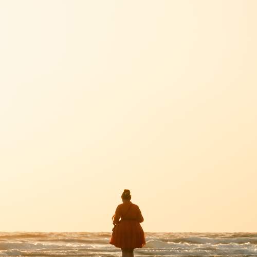 Photo #11011686