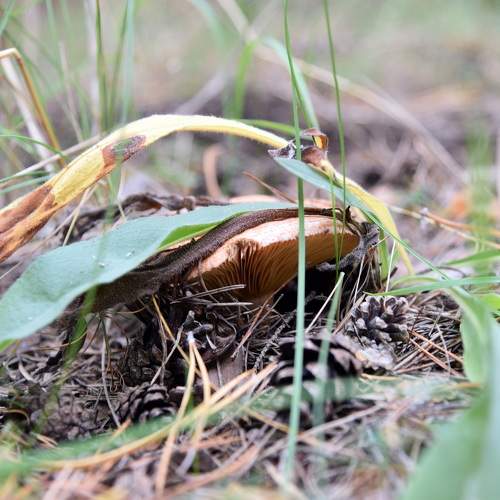 Photo #11011915