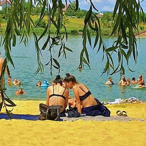 Photo #11011962