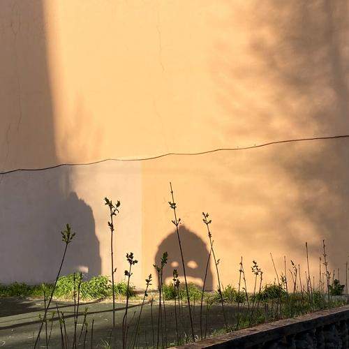 Photo #11012099