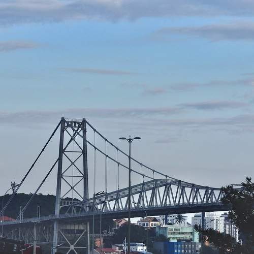Photo #11012191