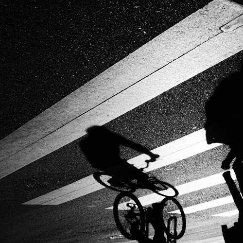 Photo #11012267