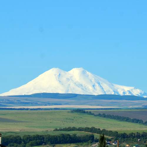 Photo #11012601