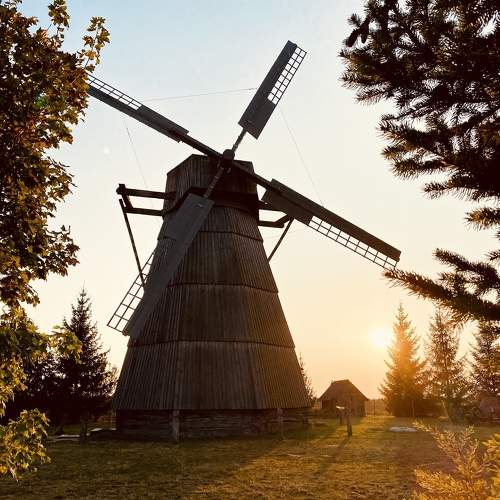 Photo #11012857
