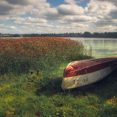 Photo #11013477