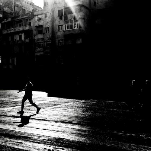 Photo #11013597