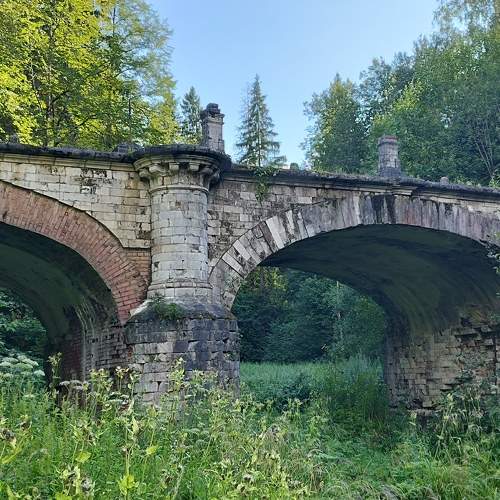Photo #11013698