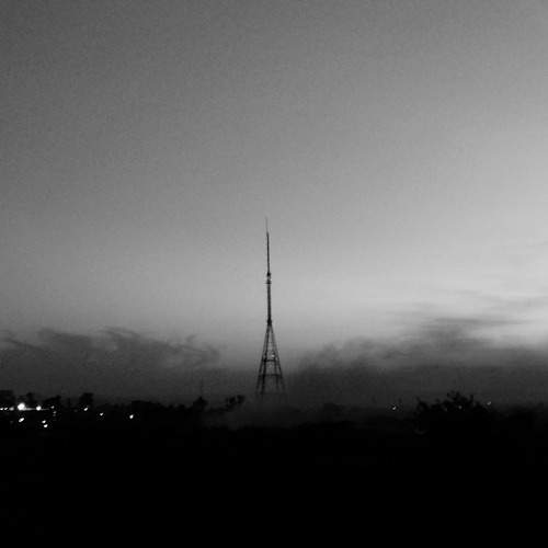 Photo #11013716
