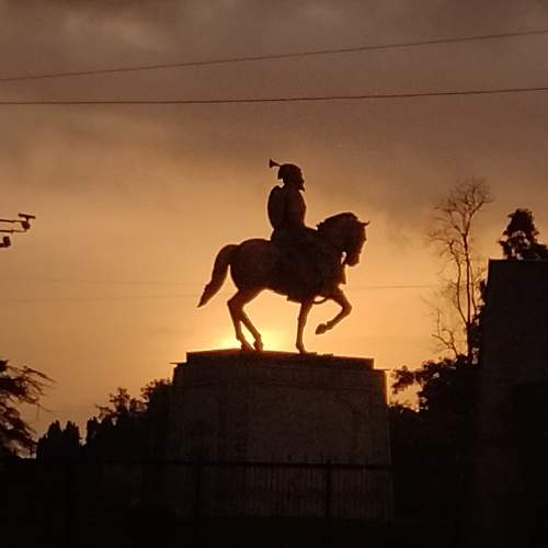 Photo #11013760