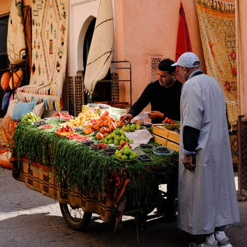 Photo #11013765