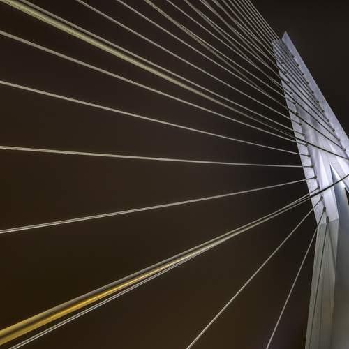 Photo #11013809