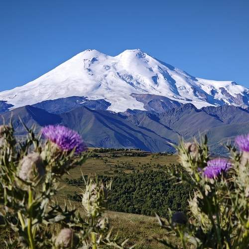 Photo #11013836