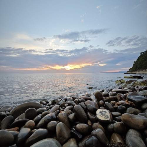 Photo #11013853