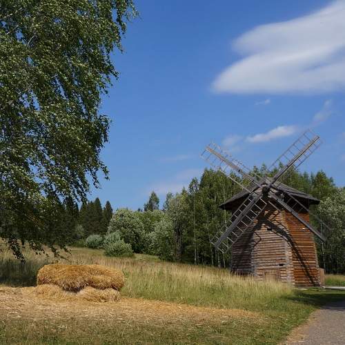 Photo #11014257