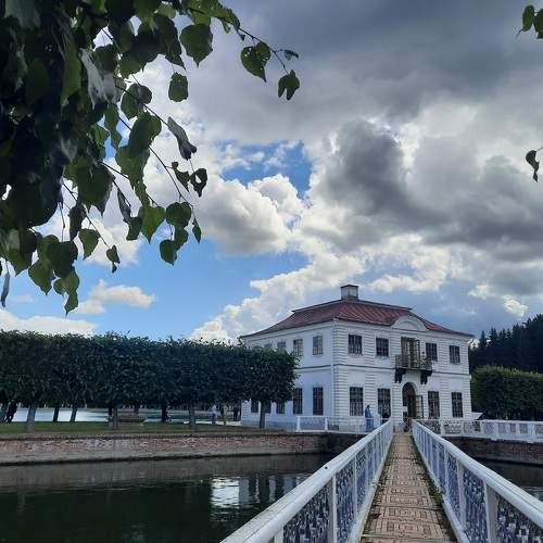 Photo #11014494