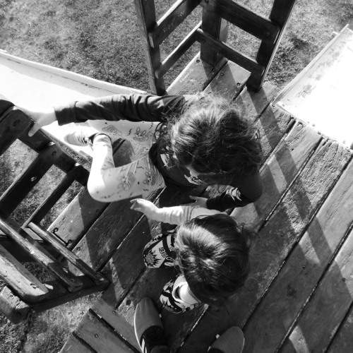 Photo #11014552