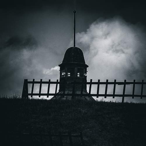 Photo #11014564