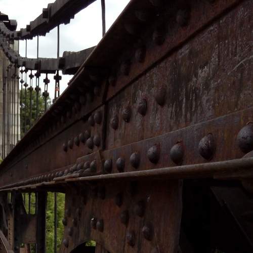 Photo #11014739