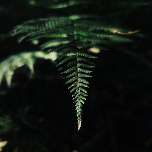 Photo #11014958