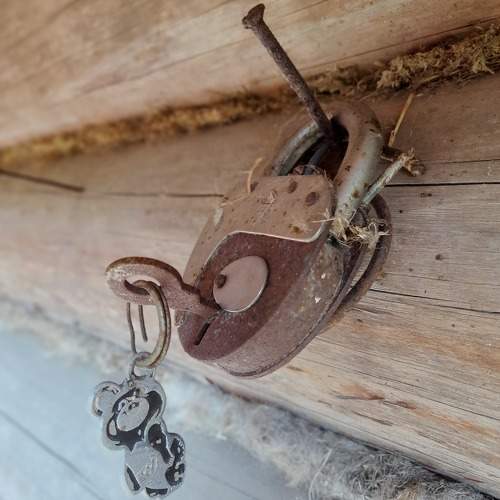 Photo #11015141