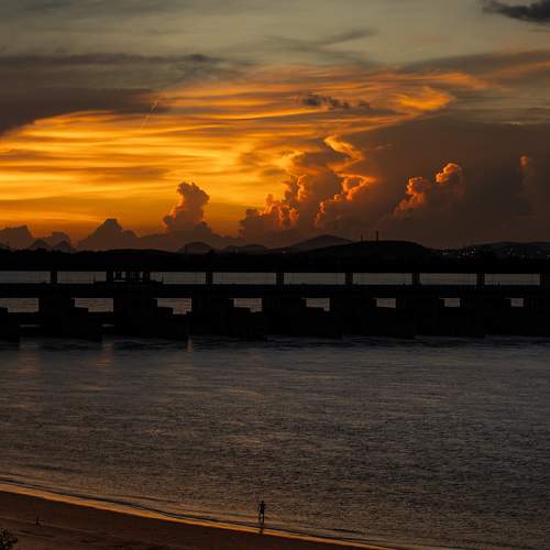 Photo #11015174