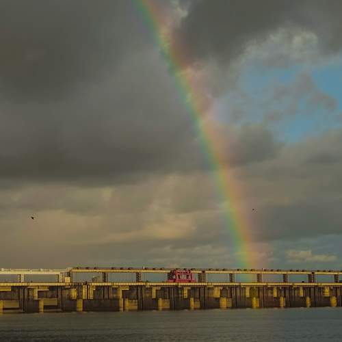 Photo #11015190
