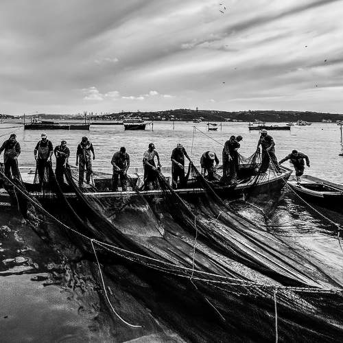 Beykoz Dalyan Fishing