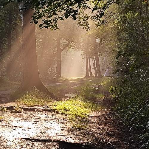 Photo #11015225